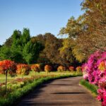 Zo creëer je een onderhoudsarme tuin met steenkorven